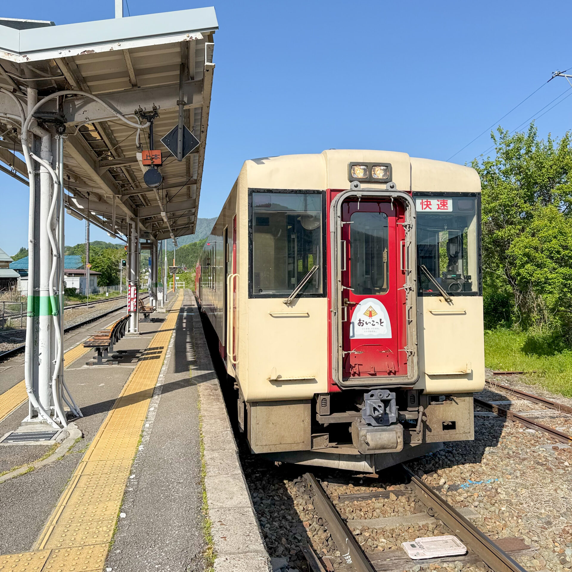 キハ110系気動車おいこっと仕様