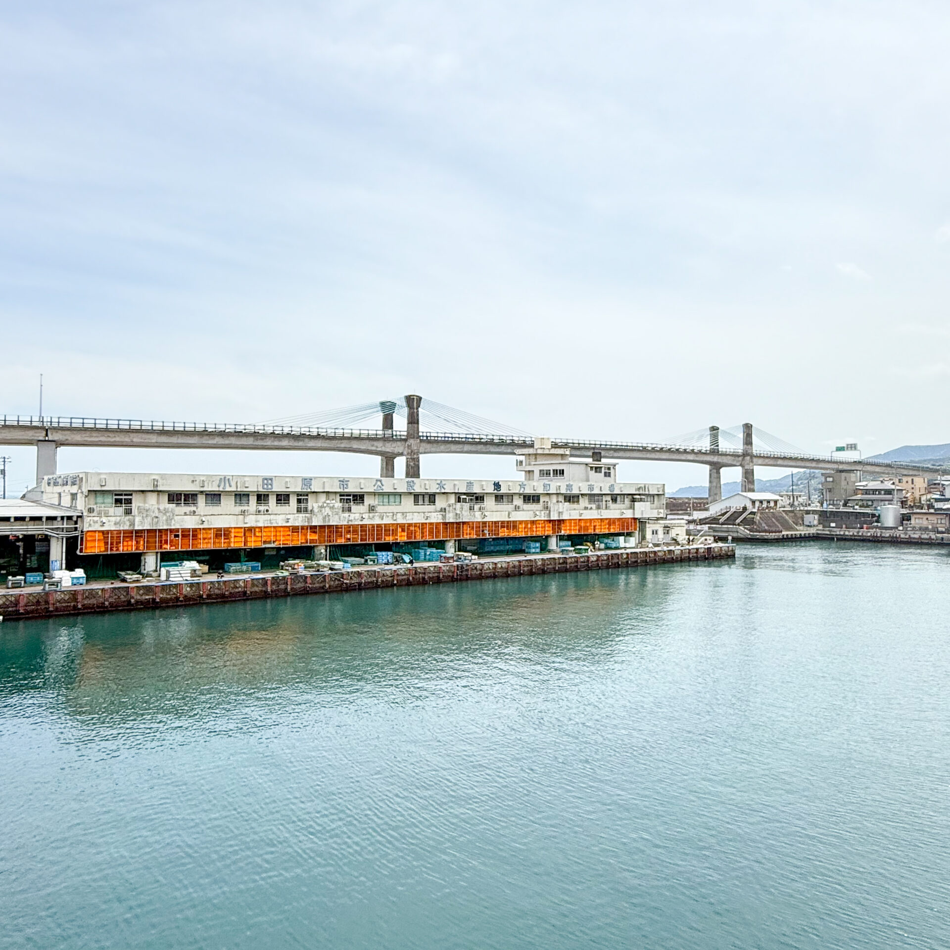 小田原漁港卸売市場