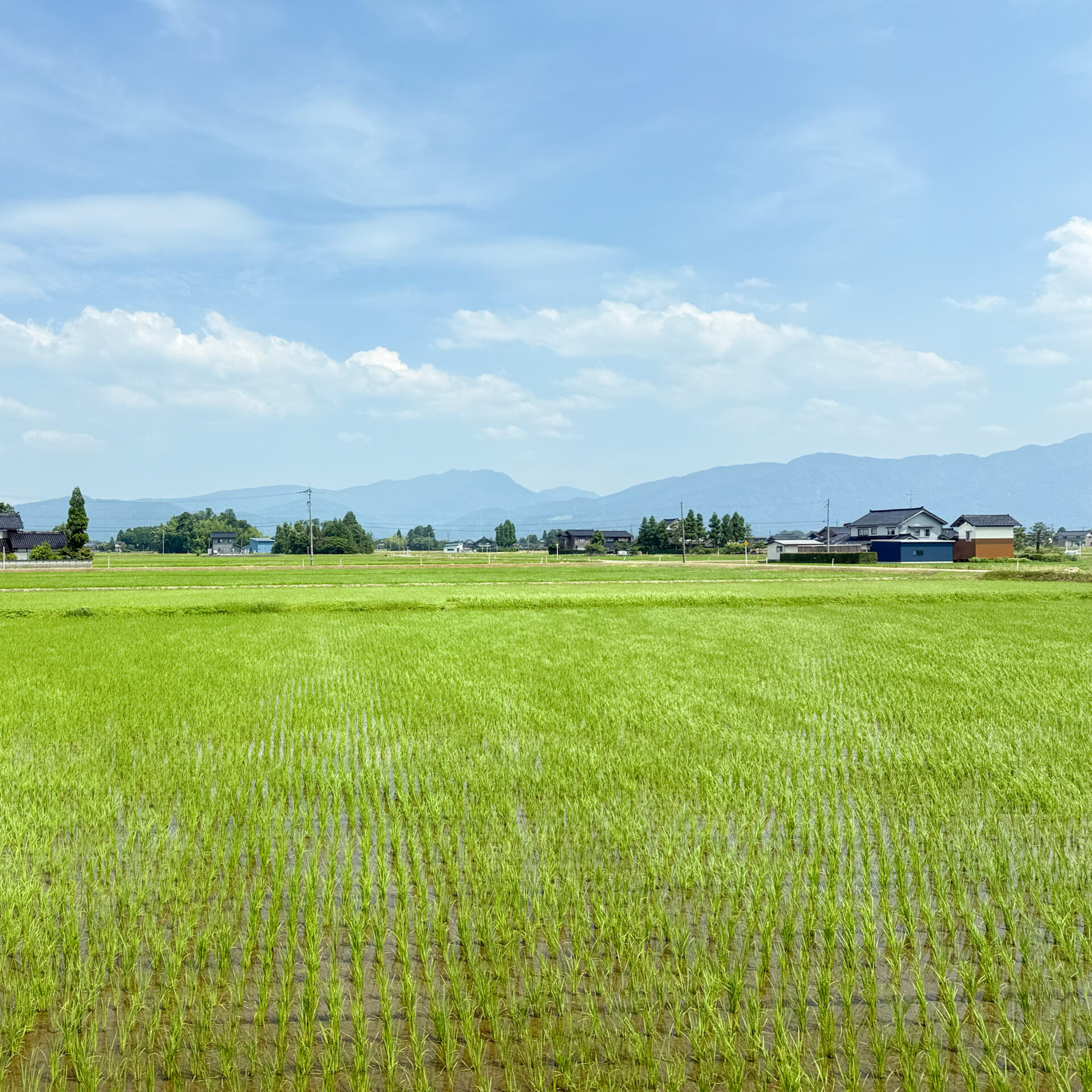 べるもんた城端号から望む砺波平野