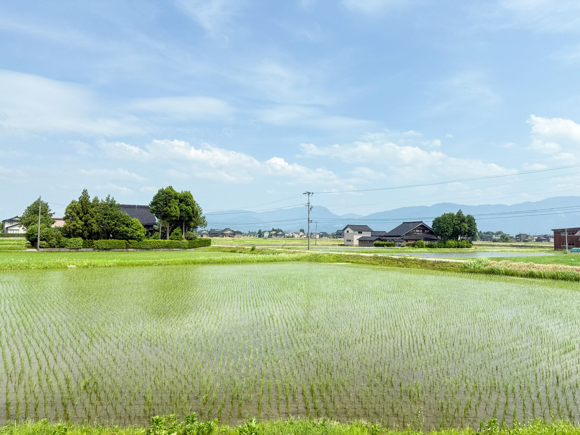 べるもんた砺波号から眺める砺波平野