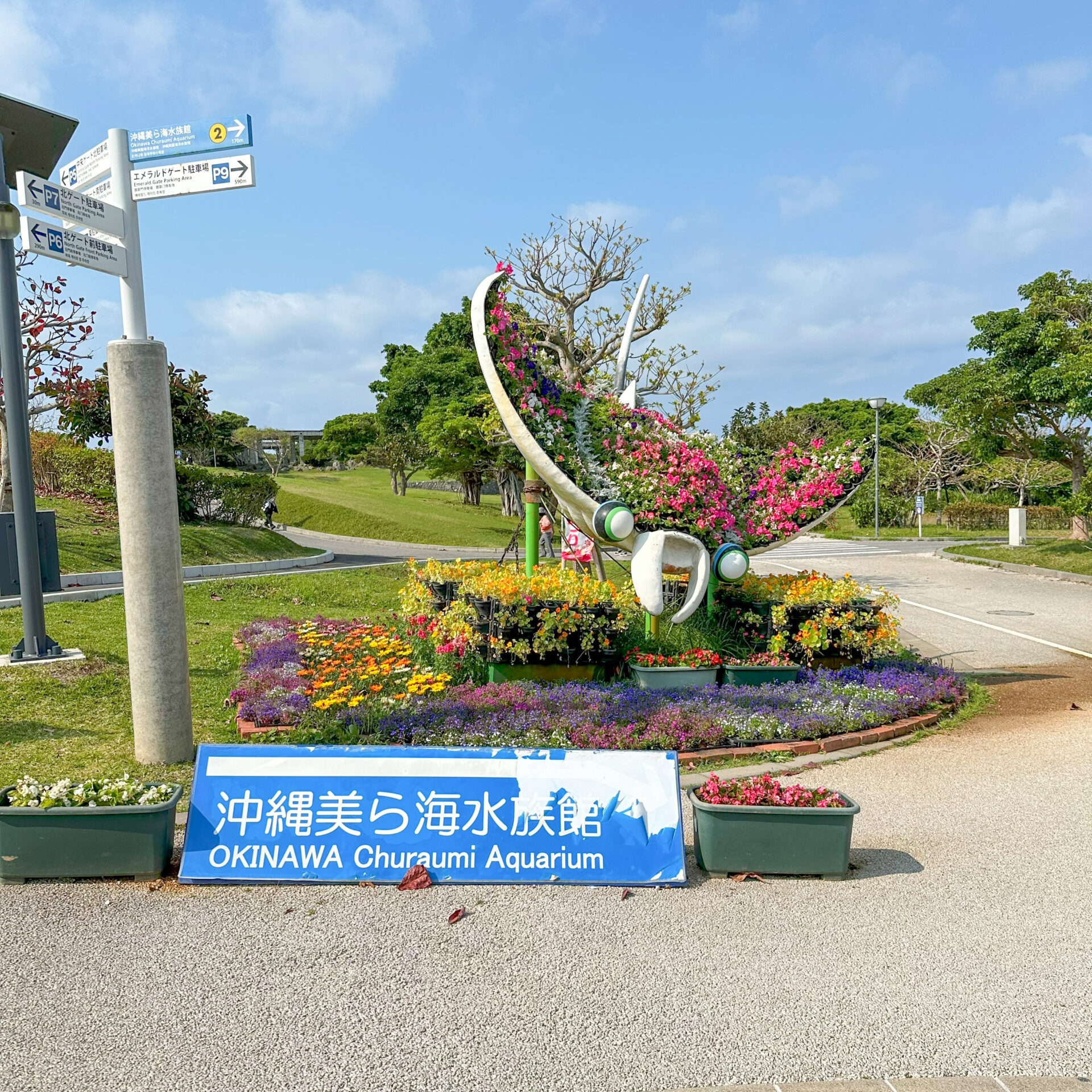沖縄美ら海水族館