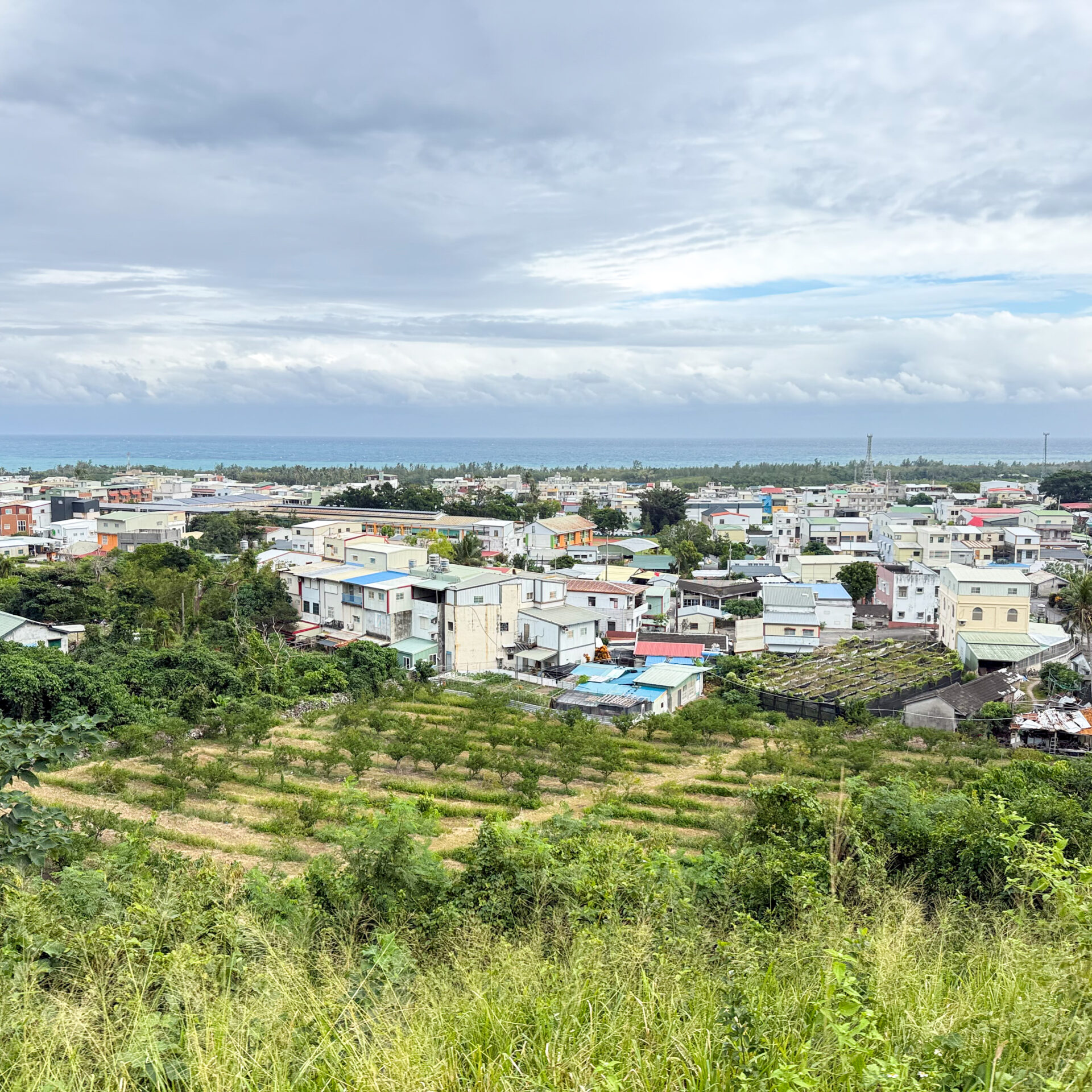 台鐵南廻線太麻里駅付近の車窓