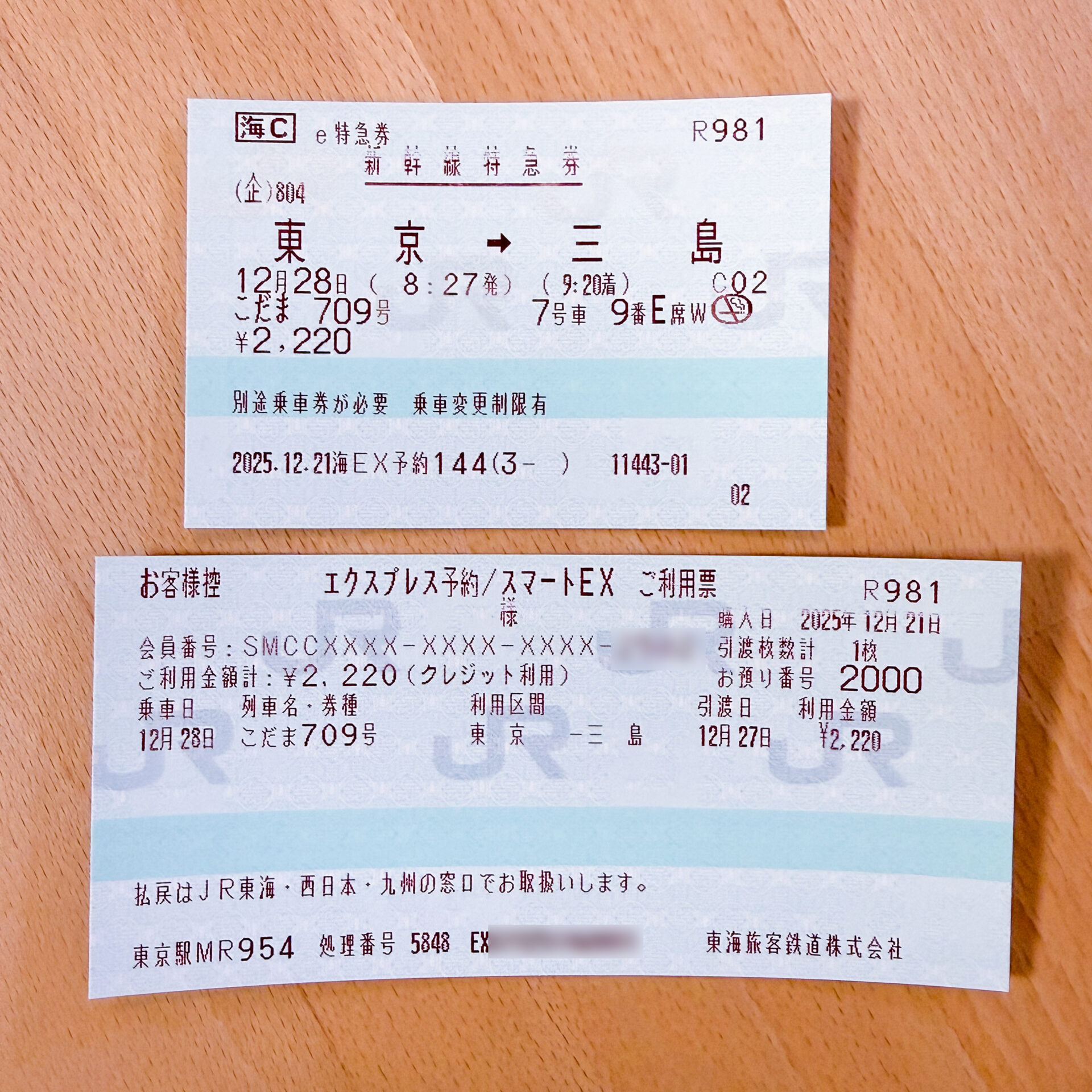 e特急券本券とご利用控