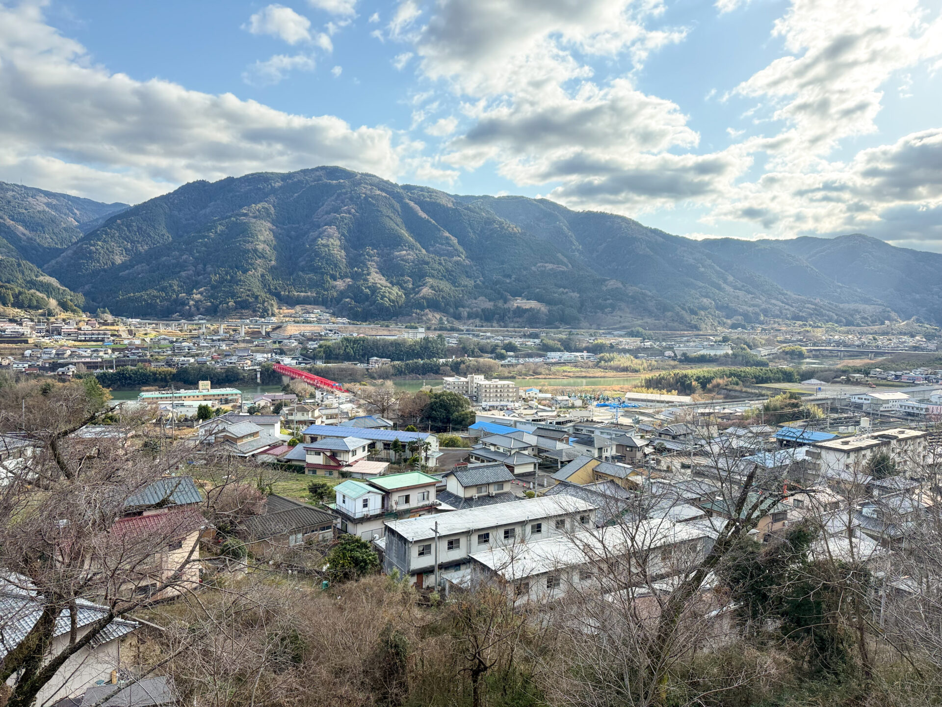 土讃線から阿波池田の市街地を望む