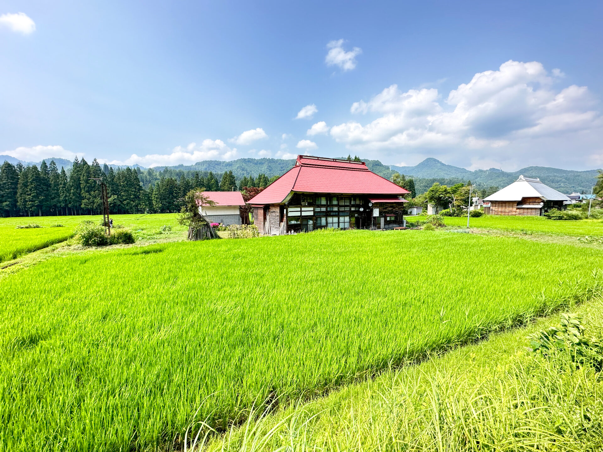 風っこ只見線満喫号から眺める奥会津の山村