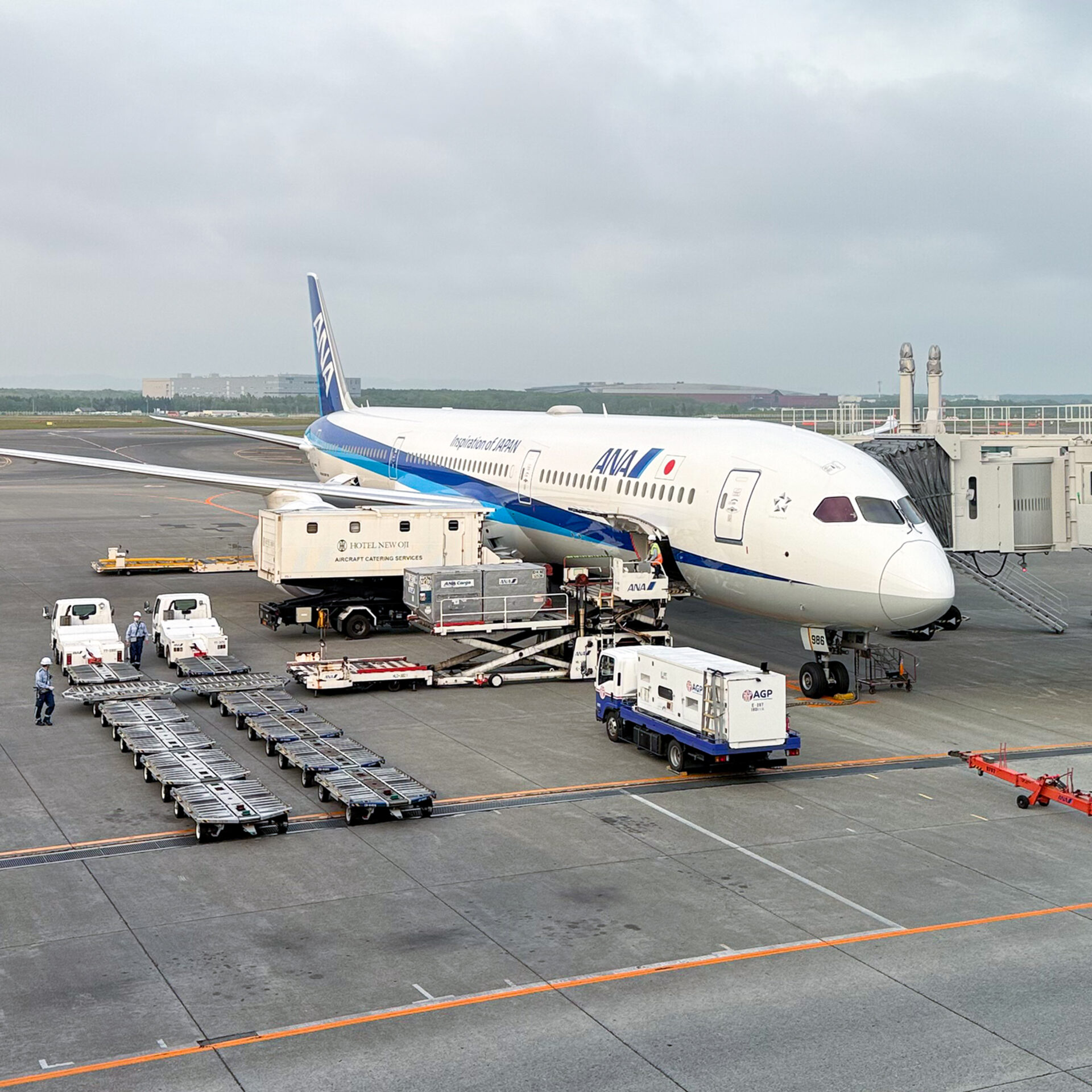 ANAボーイング787